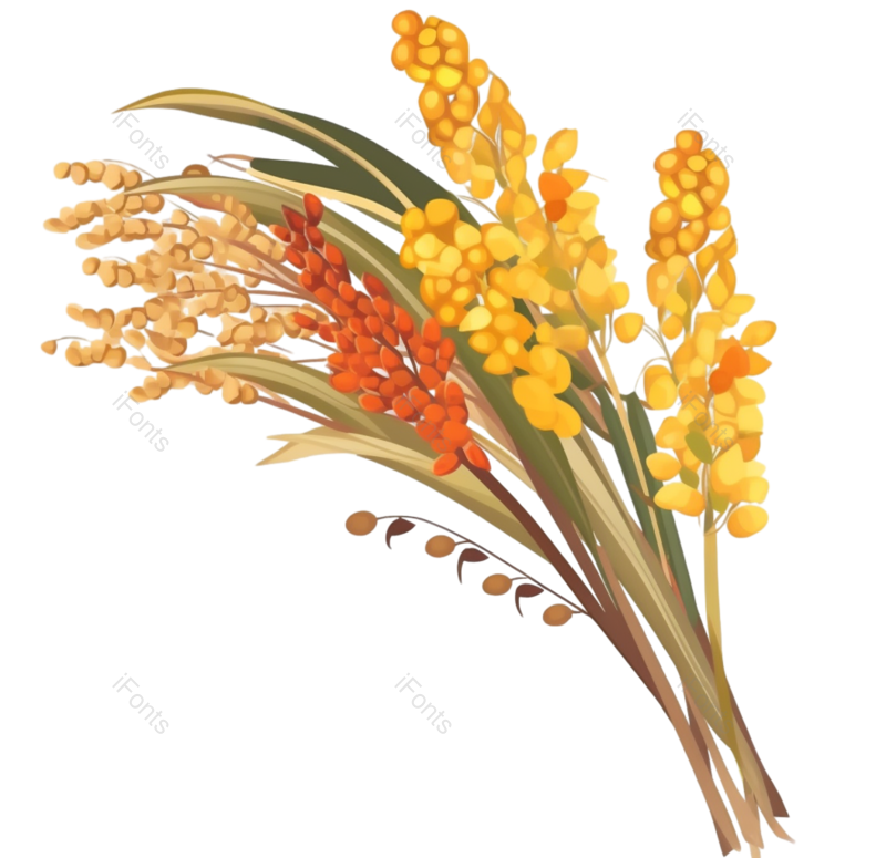叶子图片,芒种元素,元素PNG,插画免抠素材